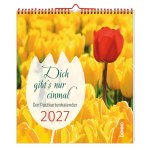 Dich gibt's nur einmal 2027