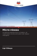 Micro-réseau