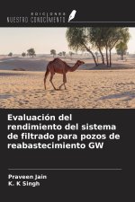 Evaluación del rendimiento del sistema de filtrado para pozos de reabastecimiento GW