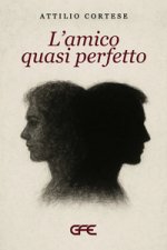 amico quasi perfetto