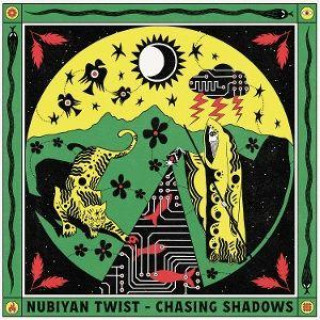 Chasing Shadows