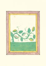 Carnet - Livre des herbes
