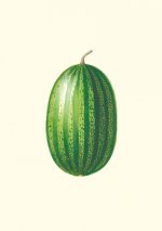 Carnet - Jardin potager et jardin fruitier