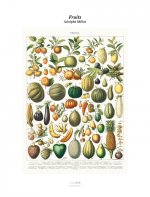 Tirage - Fruits