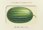 Livre d'images - Jardin potager et jardin fruitier