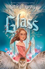 GLASS A CINDERELLA TALE