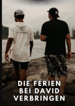 Die Ferien bei David verbringen