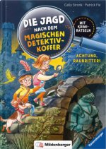 Die Jagd nach dem magischen Detektivkoffer Band 4