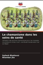 Le chamanisme dans les soins de santé