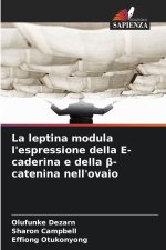 La leptina modula l'espressione della E-caderina e della beta-catenina nell'ovaio
