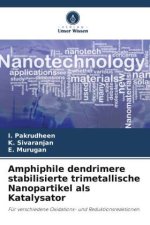 Amphiphile dendrimere stabilisierte trimetallische Nanopartikel als Katalysator