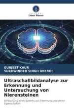 Ultraschallbildanalyse zur Erkennung und Untersuchung von Nierensteinen