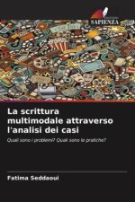 La scrittura multimodale attraverso l'analisi dei casi