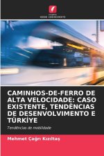 CAMINHOS-DE-FERRO DE ALTA VELOCIDADE: CASO EXISTENTE, TENDÊNCIAS DE DESENVOLVIMENTO E TÜRKI YE