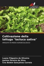 Coltivazione della lattuga 