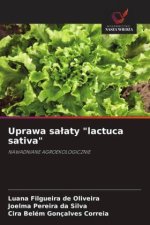 Uprawa salaty 