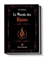 LE MONDE DES DJINNS