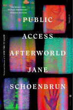 Public Access Afterworld