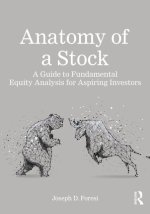 Anatomy of a Stock