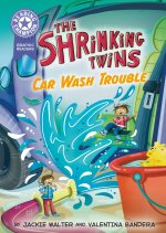 Reading Champion: Graphics: The Shrinking Twins: Car Wash Caper