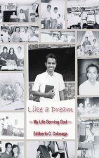 Like a Dream