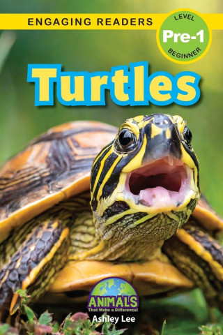 Turtles