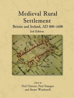 Medieval Rural Settlement