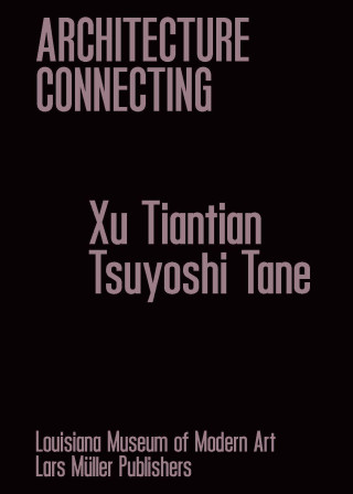 Architecture Connecting