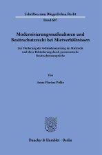 Modernisierungsmaßnahmen und Besitzschutzrecht bei Mietverhältnissen