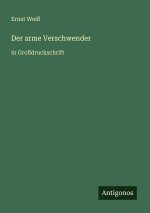 Der arme Verschwender