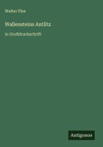 Wallensteins Antlitz