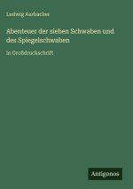 Abenteuer der sieben Schwaben und des Spiegelschwaben