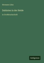 Dahinten in der Heide