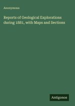 Reports of Geological Explorations during 1881, with Maps and Sections