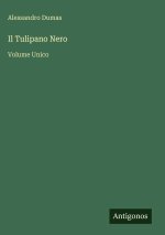 Il Tulipano Nero