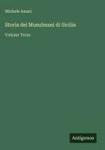 Storia dei Musulmani di Sicilia