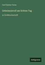 Geheimnisvoll am lichten Tag