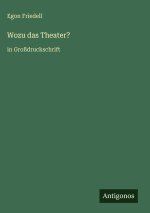 Wozu das Theater?