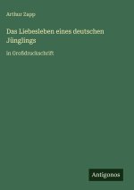 Das Liebesleben eines deutschen Jünglings