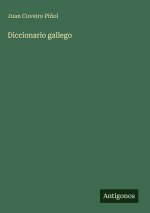 Diccionario gallego