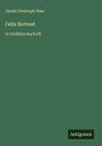 Felix Notvest