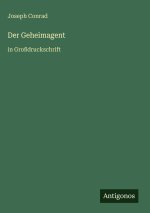 Der Geheimagent