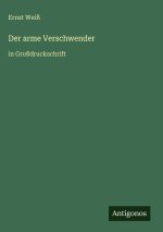 Der arme Verschwender