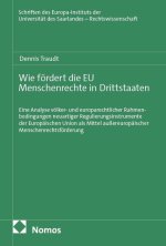 Wie fördert die EU Menschenrechte in Drittstaaten