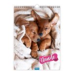 TRÖTSCH - Classickalender Hunde 2027