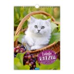 TRÖTSCH - Classickalender Liebste Katzen 2027