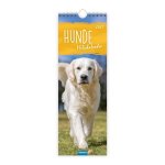 TRÖTSCH - Streifenkalender Hunde 2027 Notizkalender