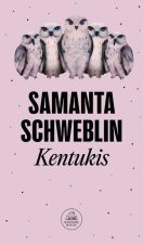 Kentukis (Spanish Edition)