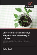 Okre¿lenie ¿cie¿ki rozwoju przywództwa m¿odzie¿y w Egipcie