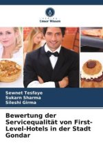 Bewertung der Servicequalität von First-Level-Hotels in der Stadt Gondar